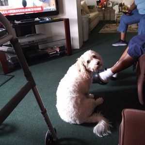 Meet your Posher, Chantay